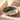 Abalone Shell - Macro